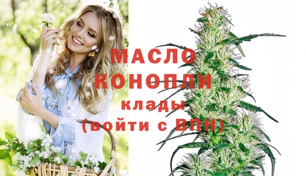 шишки Арсеньев