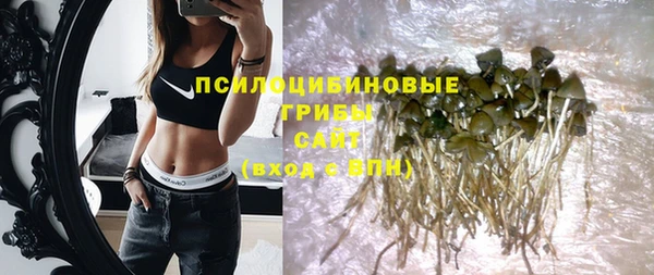 шишки Арсеньев