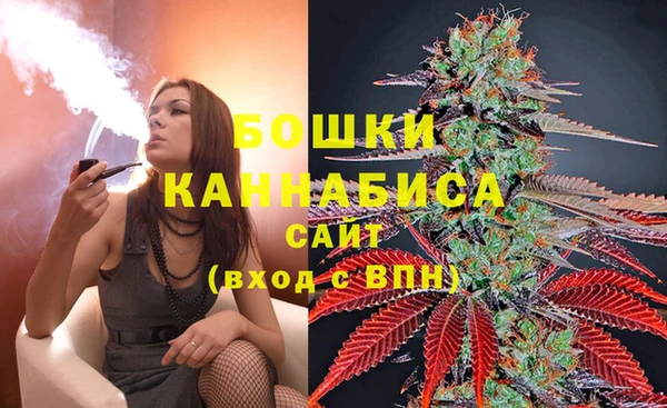 шишки Арсеньев