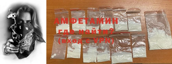 шишки Арсеньев