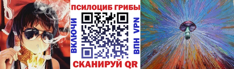 Галлюциногенные грибы мухоморы  Пучеж 